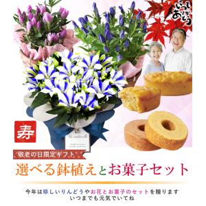 まだ間に合う! 敬老の日 プレゼント 白寿 り...の詳細画像1