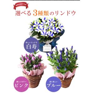 まだ間に合う! 敬老の日 プレゼント 白寿 り...の詳細画像2