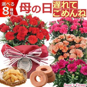 まだ間に合う！ 母の日 花 プレゼント ギフト 2024 花とスイーツ セット カーネーション 鉢植え 5号鉢 選べる 生花 鉢 ギフトセット 送料無料 ネット限定｜anne