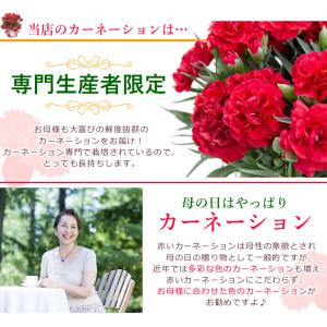 早割開催中! 母の日 プレゼント 花 ギフト ...の詳細画像2