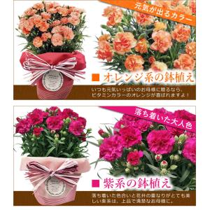 早割開催中! 母の日 プレゼント 花 ギフト ...の詳細画像4