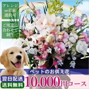 お供え 花 お彼岸 初彼岸 ペットのお供え 10000円 コース フラワーアレンジメント 花束 花かご お悔やみ 喪中 喪中見舞い 新年｜anne