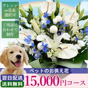 お供え 花 お彼岸 初彼岸 ペットのお供え 15000円 コース フラワーアレンジメント 花束 花かご お悔やみ 喪中 喪中見舞い 新年｜anne