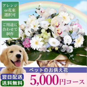 お供え 花 お彼岸 初彼岸 ペットのお供え 5000円 コース フラワーアレンジメント 花束 花かご お悔やみ 喪中 喪中見舞い 新年｜anne