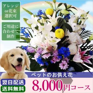 お供え 花 お彼岸 初彼岸 ペットのお供え 8000円 コース フラワーアレンジメント 花束 花かご お悔やみ 喪中 喪中見舞い 新年｜anne