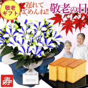 遅れてごめんね！敬老の日 プレゼント ギフト 2023 送料無料 鉢花 白寿 青 ピンク 選べるりんどう 長寿 カステラセット