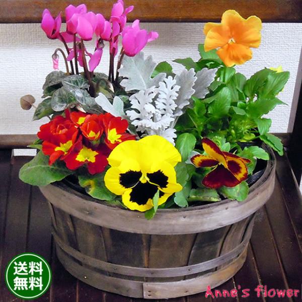 花 鉢植え 春まで楽しめる ミニガーデン 季節のお花 寄せ植え お祝い バースデー 贈り物 クリスマ...