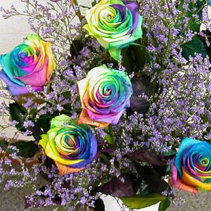 花束 バラ ギフト レインボーローズ 誕生日の花 薔薇 ギフト 贈り物 クリスマス プレゼント お歳...