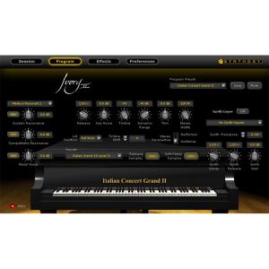 Ivory II Italian Grandの高価買取価格
