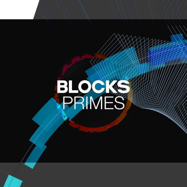 Native Instruments BLOCKS PRIMES (オンライン納品)(2時間以内に納...
