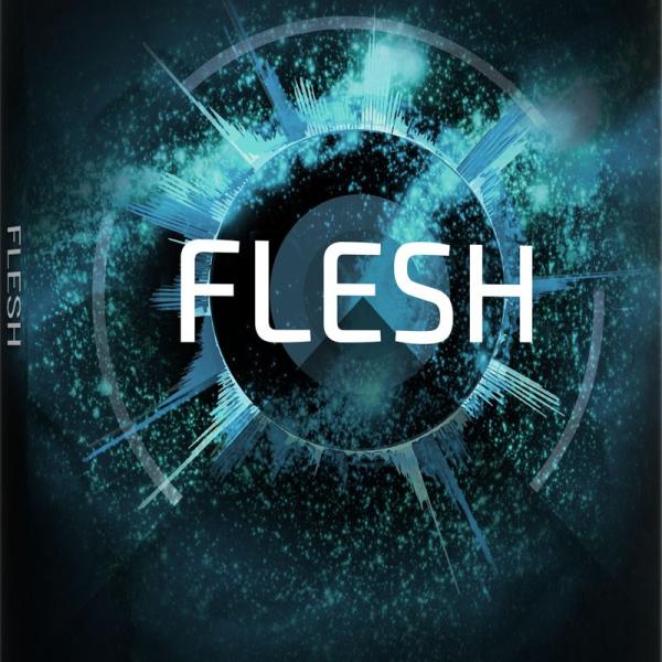 Native Instruments Flesh (オンライン納品)(2時間以内に納品)