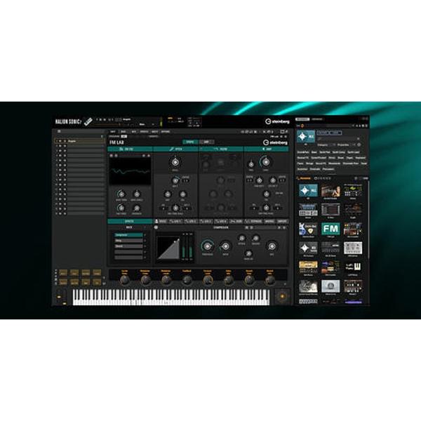 Steinberg HALion Sonic 7 Collection (オンライン納品)(音源ソフ...