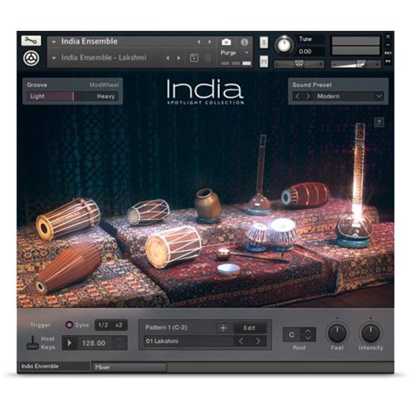 Native Instruments SPOTLIGHT COLLECTION: INDIA (ネイ...