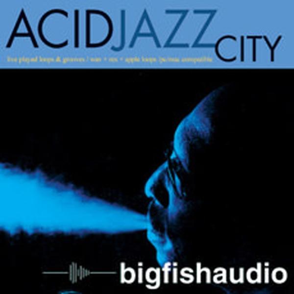 BIG FISH AUDIO 【ビッグフィッシュオーディオ期間限定セール！】ACID JAZZ CI...