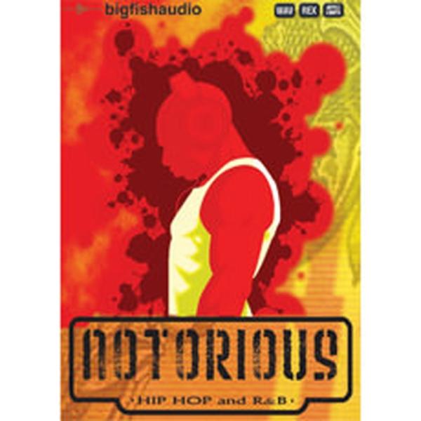BIG FISH AUDIO NOTORIOUS(オンライン納品)(2時間以内に納品)