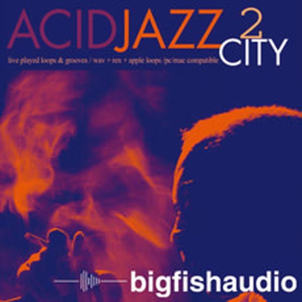 BIG FISH AUDIO 【ビッグフィッシュオーディオ期間限定セール！】ACID JAZZ CI...
