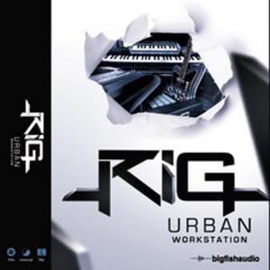 BIG FISH AUDIO RIG – URBAN WORKSTATIONの買取情報