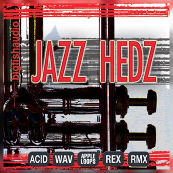 BIG FISH AUDIO 【ビッグフィッシュオーディオ期間限定セール！】JAZZ HEDZ - ...