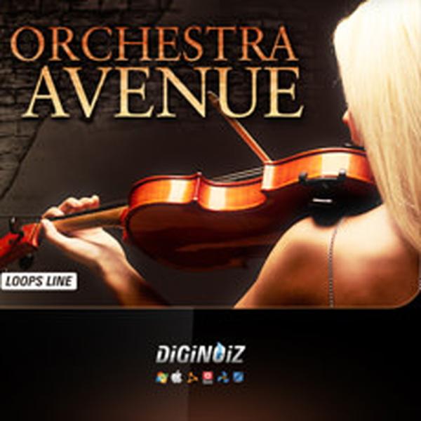 DIGINOIZ ORCHESTRA AVENUE(オンライン納品)(2時間以内に納品)