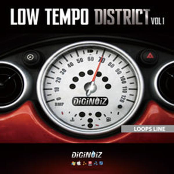 DIGINOIZ LOW TEMPO DISTRICT VOL.1(オンライン納品)(2時間以内に納...