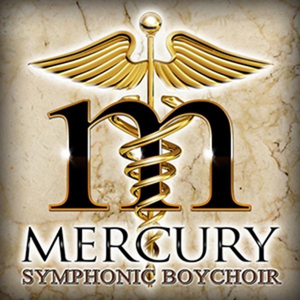 SOUNDIRON 【サウンドアイアンGWセール！】MERCURY SYMPHONIC BOYCHO...
