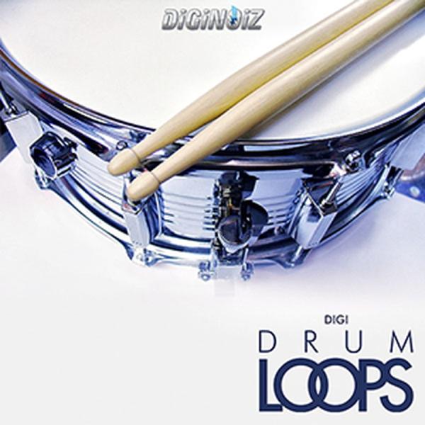 DIGINOIZ DIGIDRUM LOOP(オンライン納品)(2時間以内に納品)