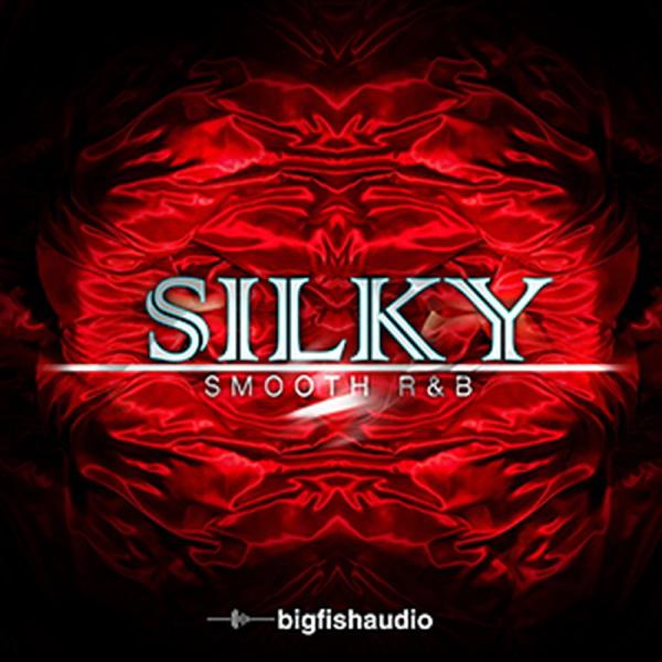 BIG FISH AUDIO SILKY SMOOTH R&amp;B(オンライン納品)(2時間以内に納品)