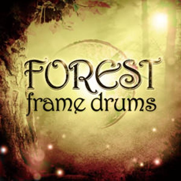 IMPACT SOUNDWORKS FOREST FRAME DRUMS(オンライン納品)(2時間以...