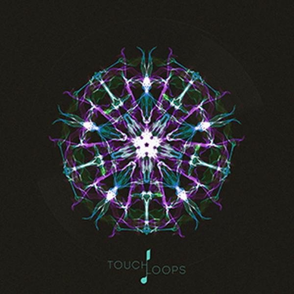TOUCH LOOPS AMBIENT DUB(オンライン納品)(2時間以内に納品)