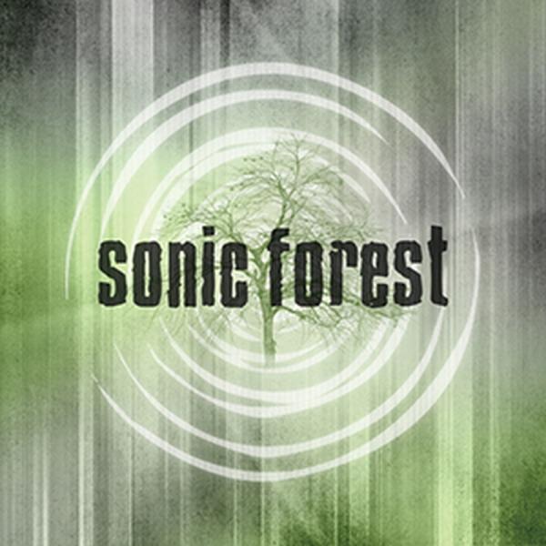 IMPACT SOUNDWORKS SONIC FOREST(オンライン納品)(2時間以内に納品)