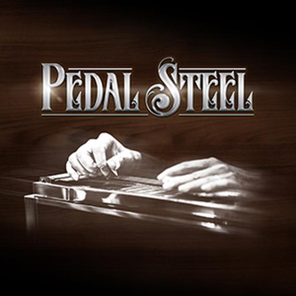 IMPACT SOUNDWORKS PEDAL STEEL(オンライン納品)(2時間以内に納品)