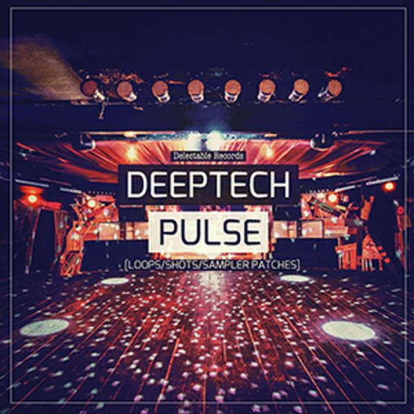 DELECTABLE RECORDS DEEP TECH PULSE(オンライン納品)(2時間以内に...