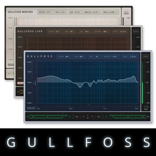 SOUNDTHEORY GULLFOSS(オンライン納品)(2時間以内に納品)