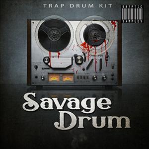 KRYPTIC SAMPLES SAVAGE DRUMの買取情報