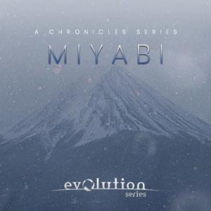 EVOLUTION SERIES MIYABIの買取情報