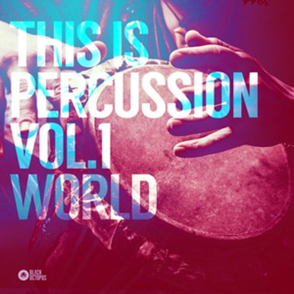 BLACK OCTOPUS 【レゾナンスサウンドサマーセール！】THIS IS PERCUSSION...