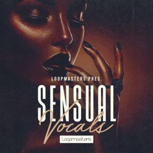 LOOPMASTERS ホリデーセール！SENSUAL VOCALの買取情報