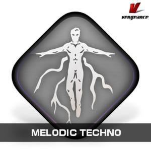 Vengeance Sound Christmas Sale MELODIC TECHNOの買取情報