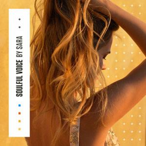 DIGINOIZ SOULFUL VOICE BY SARAの買取情報