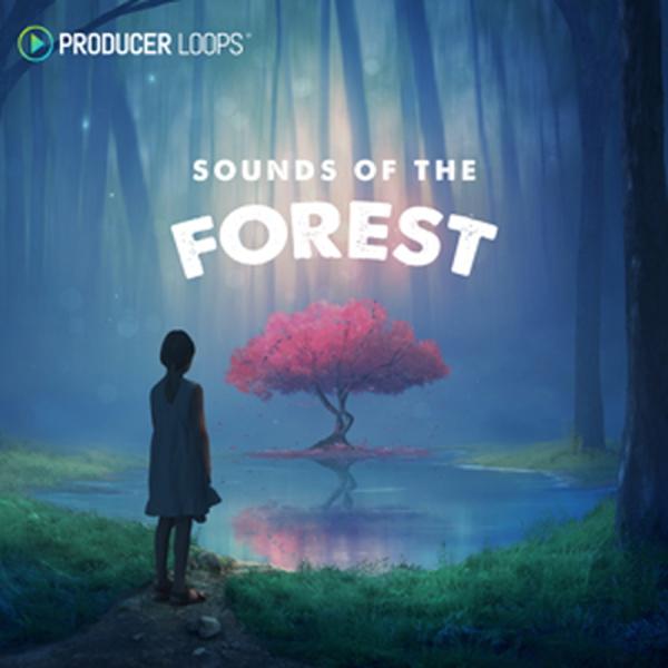 PRODUCER LOOPS SOUNDS OF THE FOREST(オンライン納品)(2時間以内...