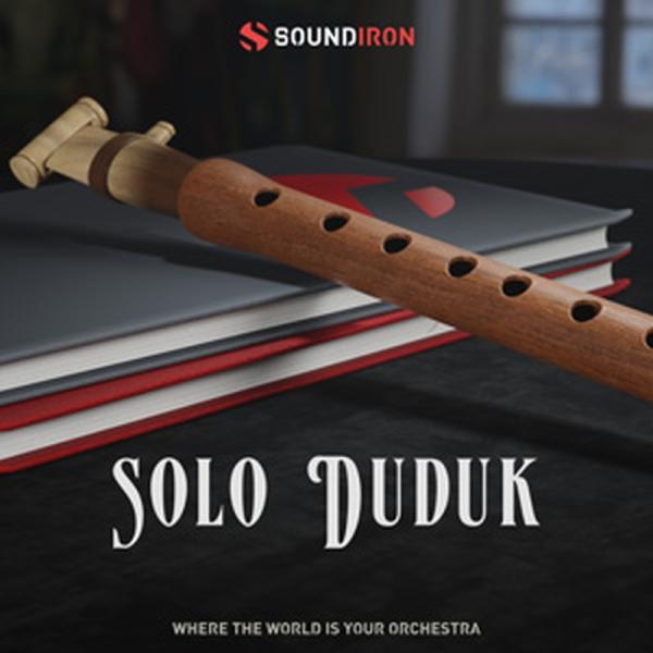 SOUNDIRON SOLO DUDUK(オンライン納品)(2時間以内に納品)