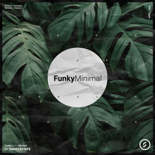 SAMPLESTATE 【ループマスターズ2026サマーセール！】FUNKY MINIMAL(オンラ...