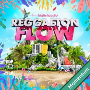 BIG FISH AUDIO REGGAETON FLOW MMTの買取情報