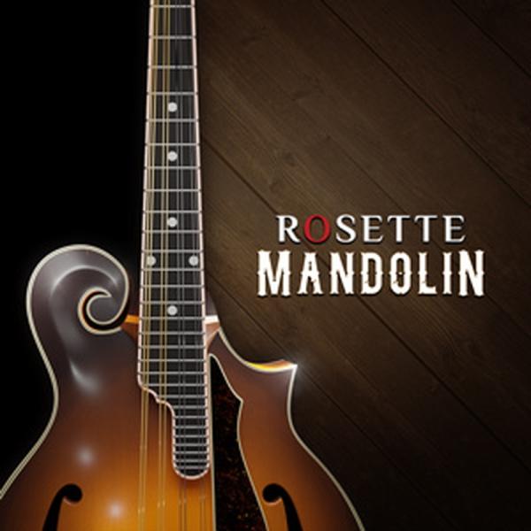 IMPACT SOUNDWORKS ROSETTE MANDOLIN(オンライン納品)(2時間以内に...