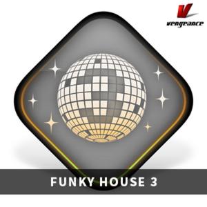 Vengeance Sound Xmas Sale FUNKY HOUSE 3の買取情報