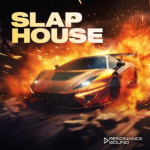RESONANCE SOUND 【レゾナンスサウンドスプリングセール！】SLAP HOUSE(オンライン納品)(2時間以内に納品)