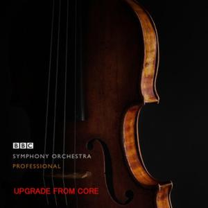 SPITFIREオーディオ ホリデーセールの買取情報