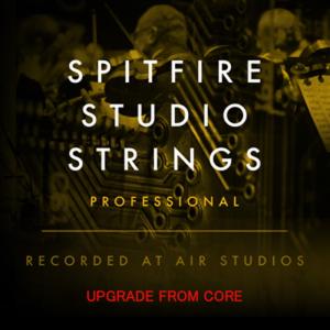 SPITFIRE STUDIO STRINGS PRO アップグレードの買取情報