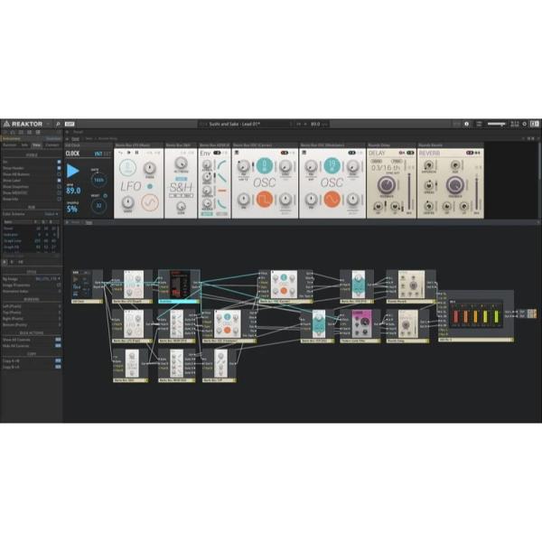 Native Instruments Reaktor 6(オンライン納品)(2時間以内に納品)