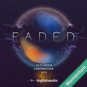 ビッグフィッシュオーディオクリスマスセールの買取情報